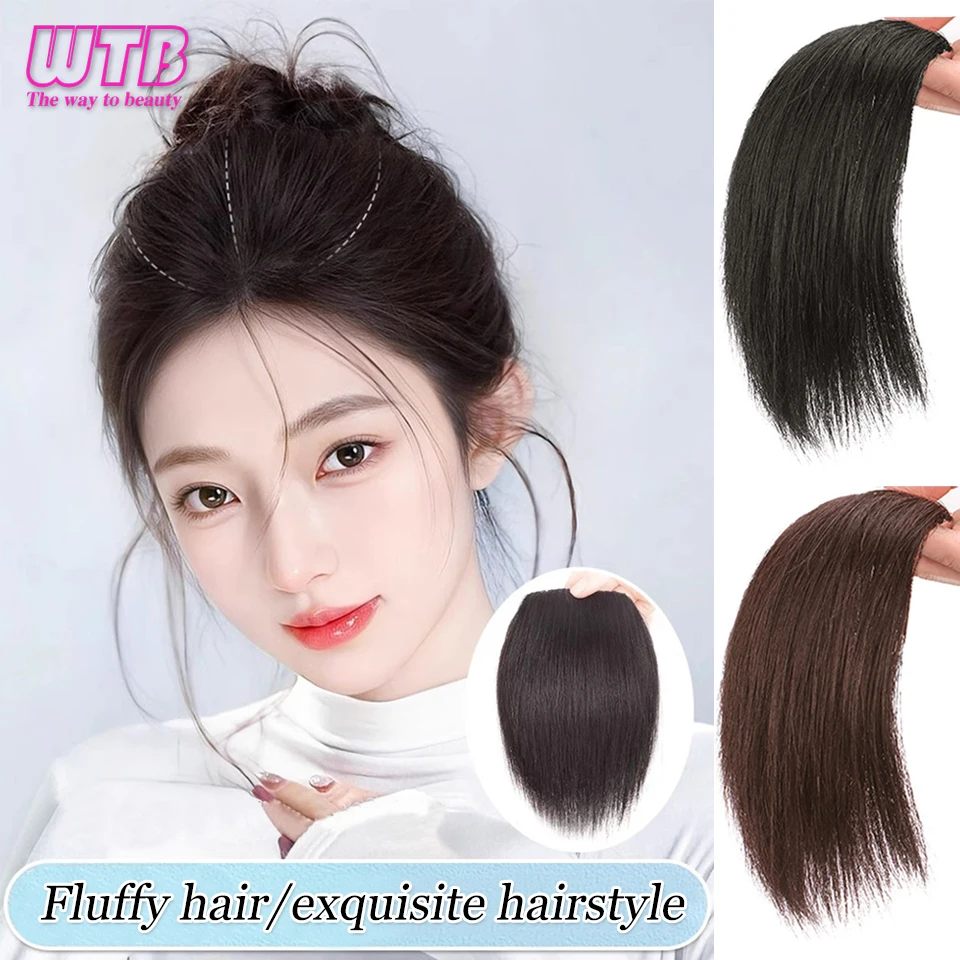 

WTB Synthetic Hair Pads 20/30CM 2Clip In Hair Extensions Natural Invisible Hair Piece Increase Hair Volume Hair Extensions