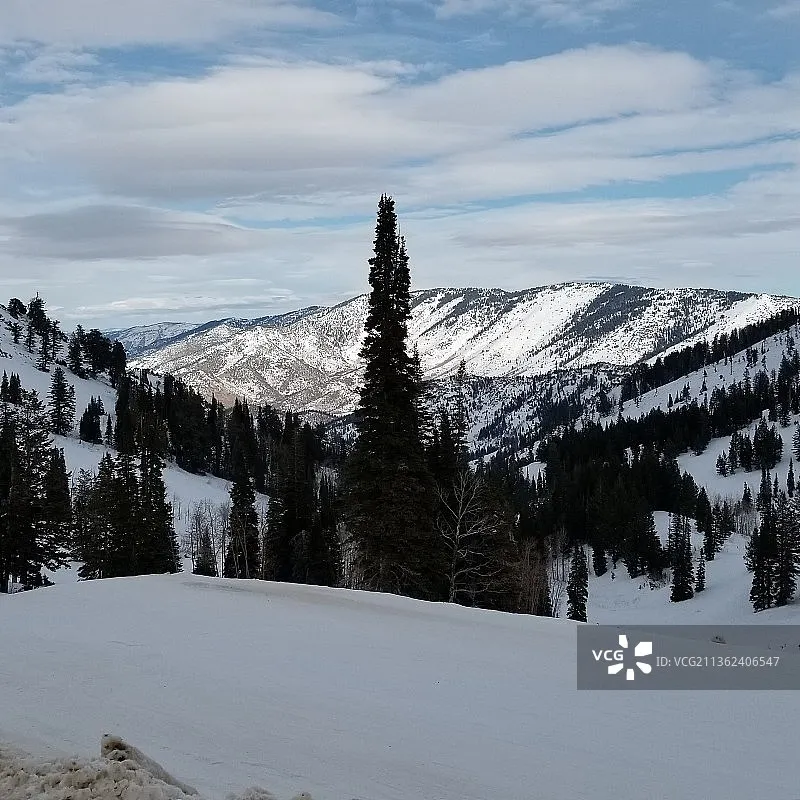 

Radiolink 2.4GHz R8SM 8 Channels RC Receiver Mini Tiny SBUS/PPM for Mini Drone Compatible T8FB/T8S Transmitter Controller