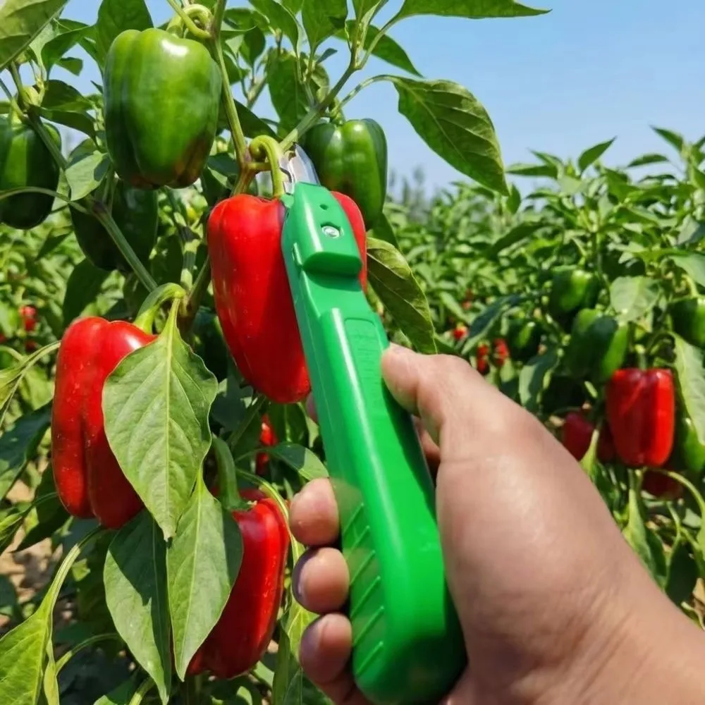 Non-Slip Fruit Vegetable Quick Picking Artifact Handheld Anti-Scratch Fruit Harvesting Shears with Protective Flip Cover