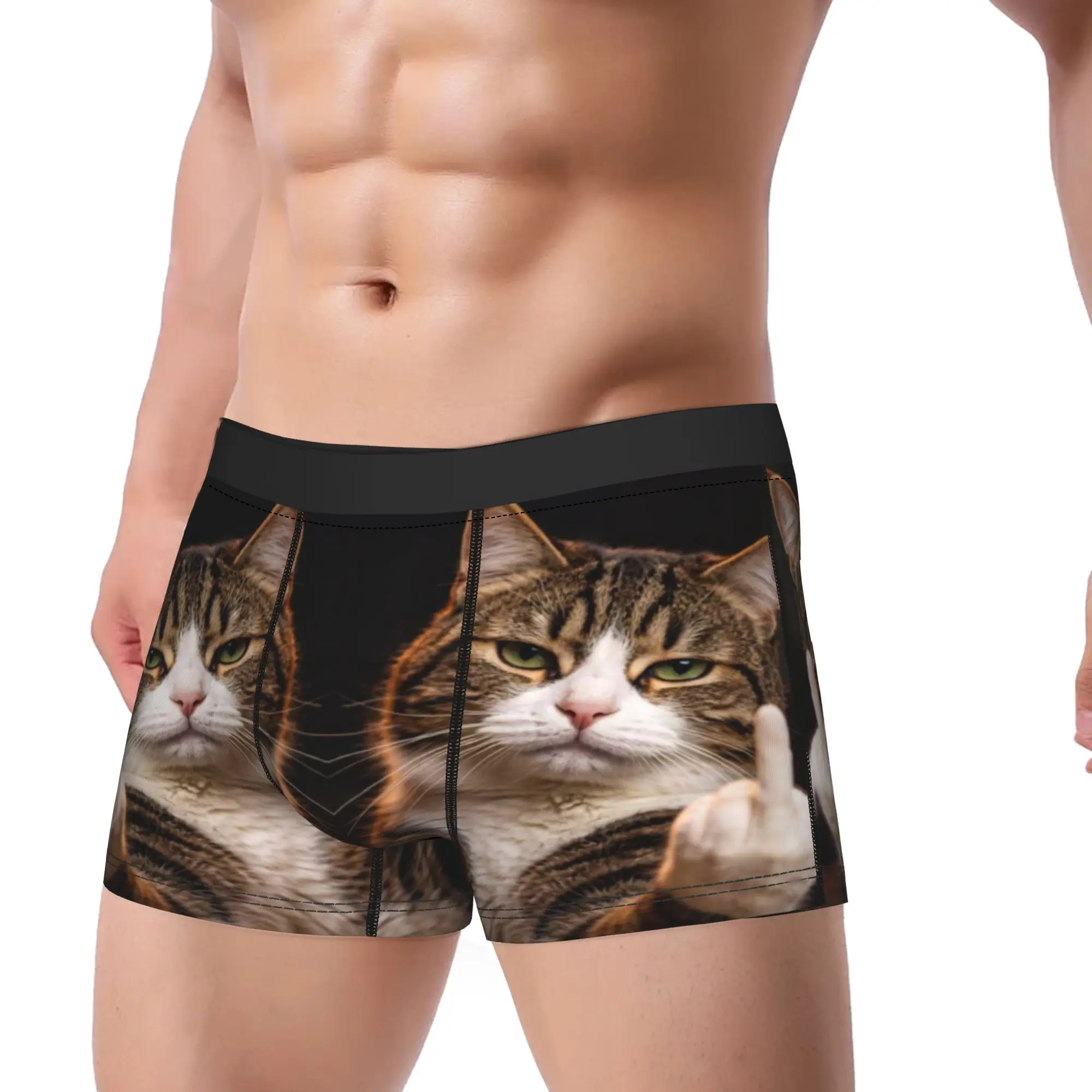 Tabby Cat Middle Finger Funny Meme Art  Underpants Breathbale Panties Men's Underwear Comfortable Shorts Boxer Briefs
