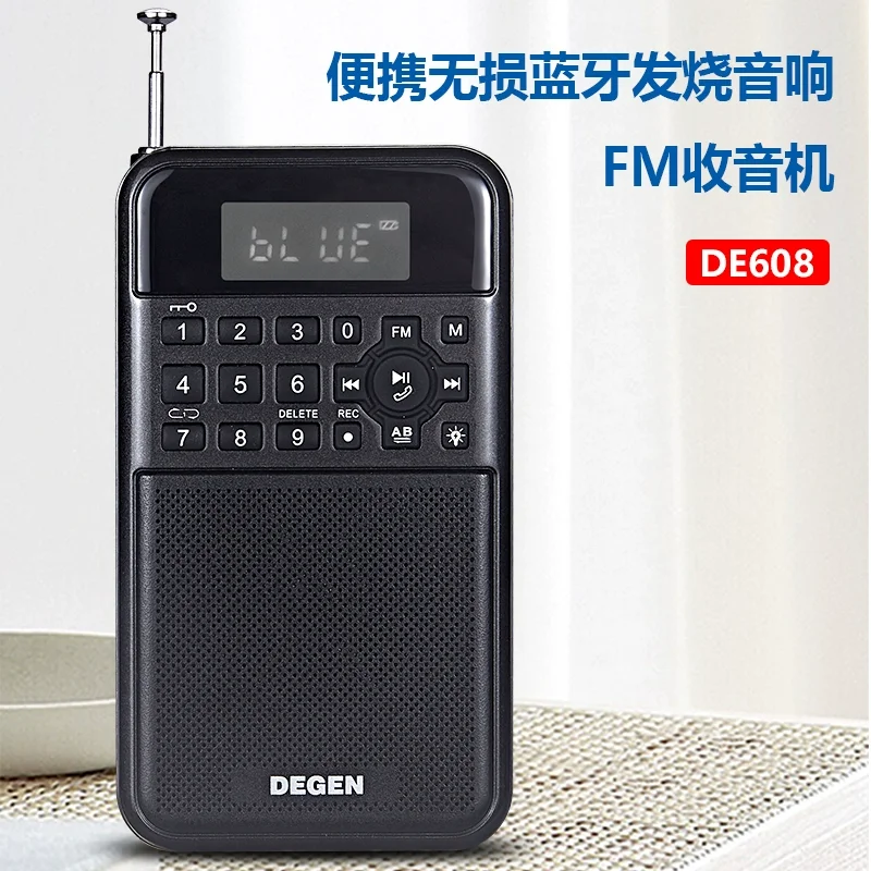 

Dejin DE608 portable lossless Bluetooth plug-in card USB flash drive audio Fm radio