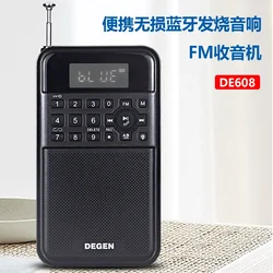 Dejin DE608 portable lossless Bluetooth plug-in card USB flash drive audio Fm radio