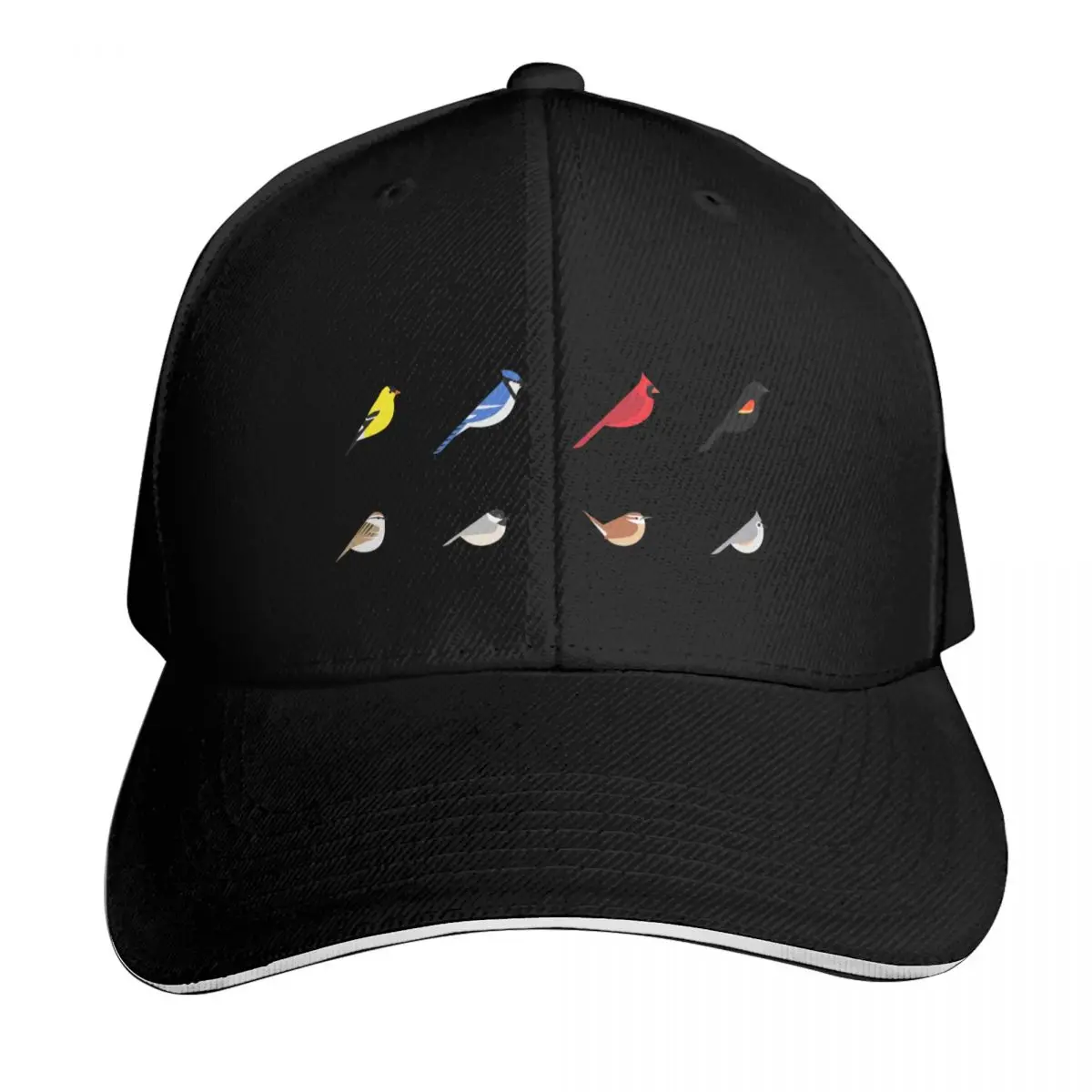 Common Backyard Birds of North America Baseball Cap Snapback Flat Bill Strapback Dad Hat Six Panel Structured Crown