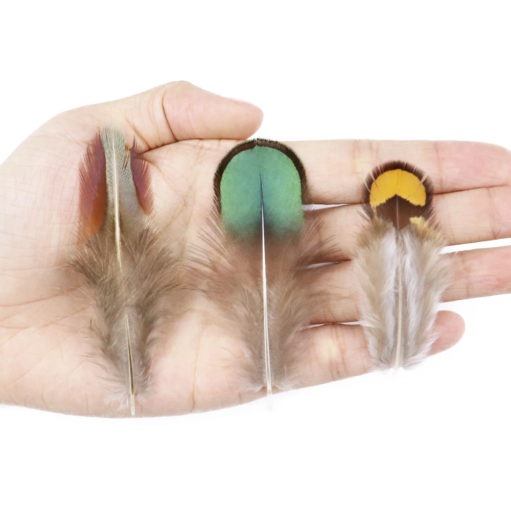 50Pcs Natural Pheasant Feathers Decoration DIY Carnival Jewelry Accessory Mixing Small Chicken peacock Plumes For Crafts 3-8cm