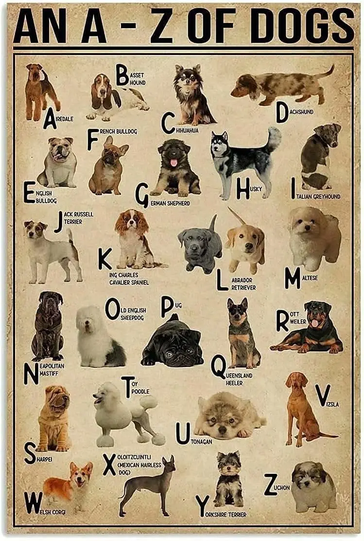 Affiche métallique « Les chiens : un A-Z des connaissances sur les chiens », plaque en métal pour école, ferme, animalerie, café, chambre, salle de bain, cuisine, maison, décoration murale