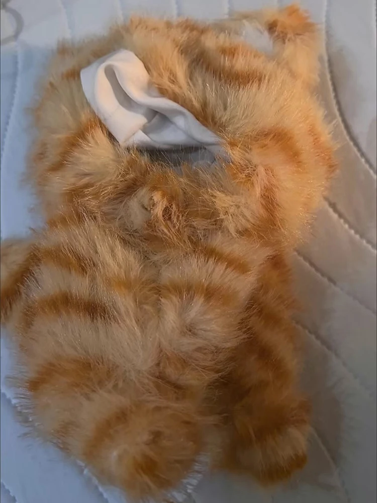 Лидер продаж для Labubu 17 см, милая кукла-кошка, одежда, плюшевая волосатая фигурка Hamidie V1, стоячая фигурка, кулон, аксессуар, аксессуары для кукол, подарки