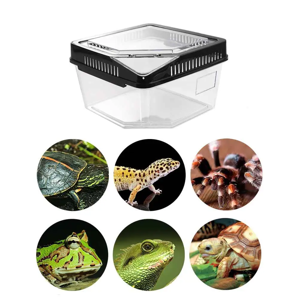 Transparent Anti-escape Reptile Terrarium Tank Anti-escape Flip Cover Type Lizard Grow Box Plastic Reptile Carrier Box Gecko