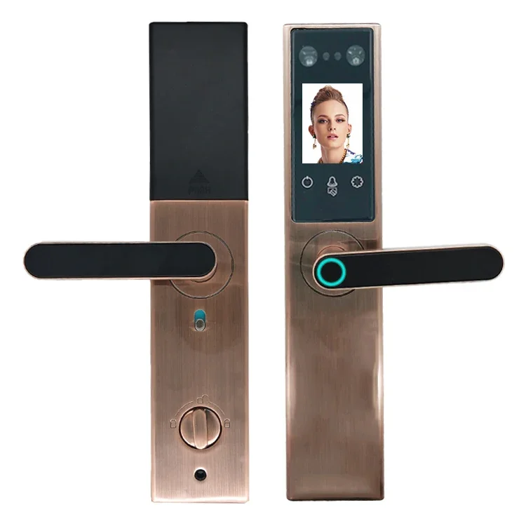 

Smart face recognition electric door lock palm print gate anti-theft home villa access control