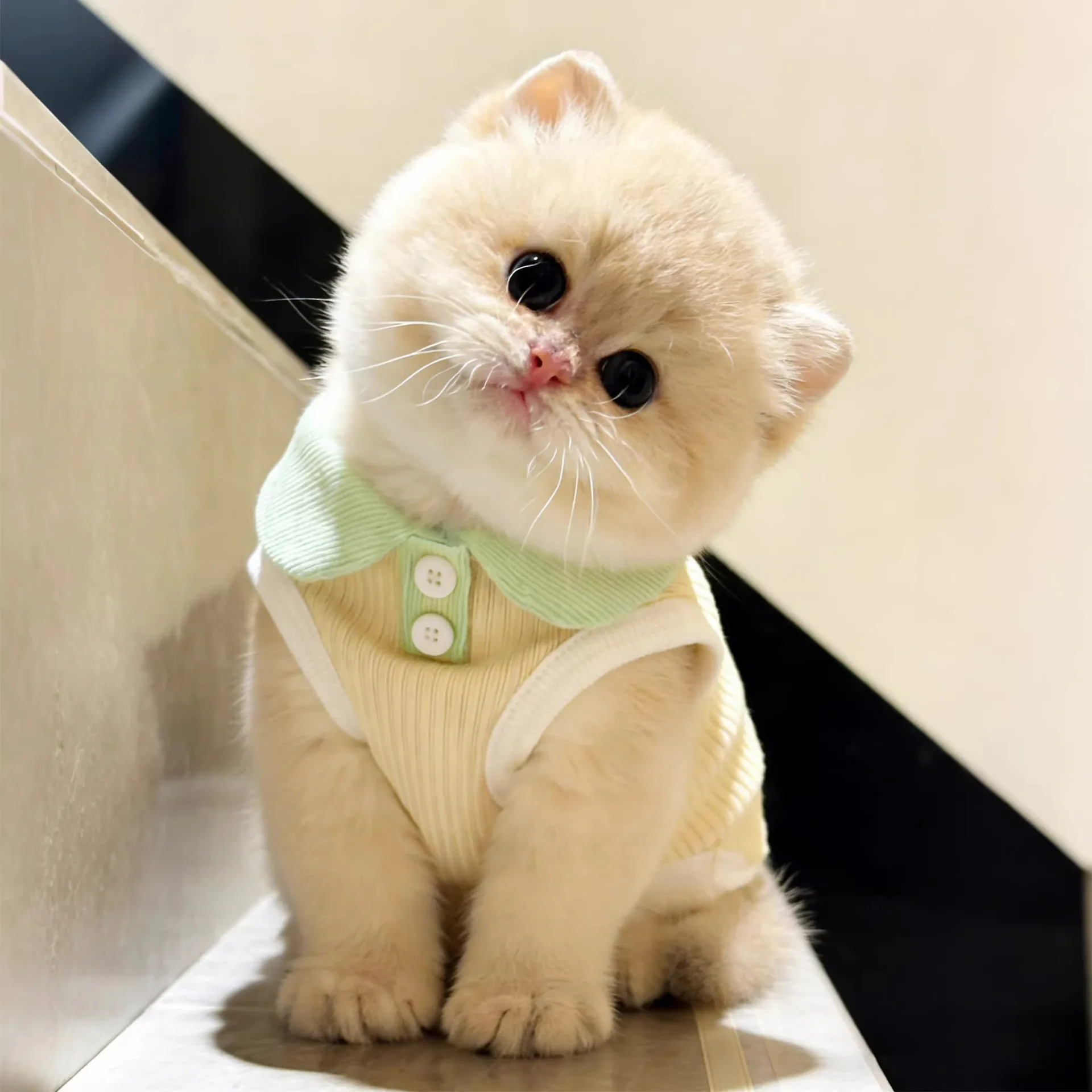 

New Pet Products Summer Clothes for Dogs Puppy Shirt Blouse Spring Pets Clothing Dog Pet Shirts Apparel Supplies Accessories