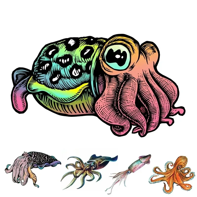 

Funny Marine Organism Decal CUTTLEFISH Car Sticker Waterproof Auto Decors on Bumper Rear Window Laptop