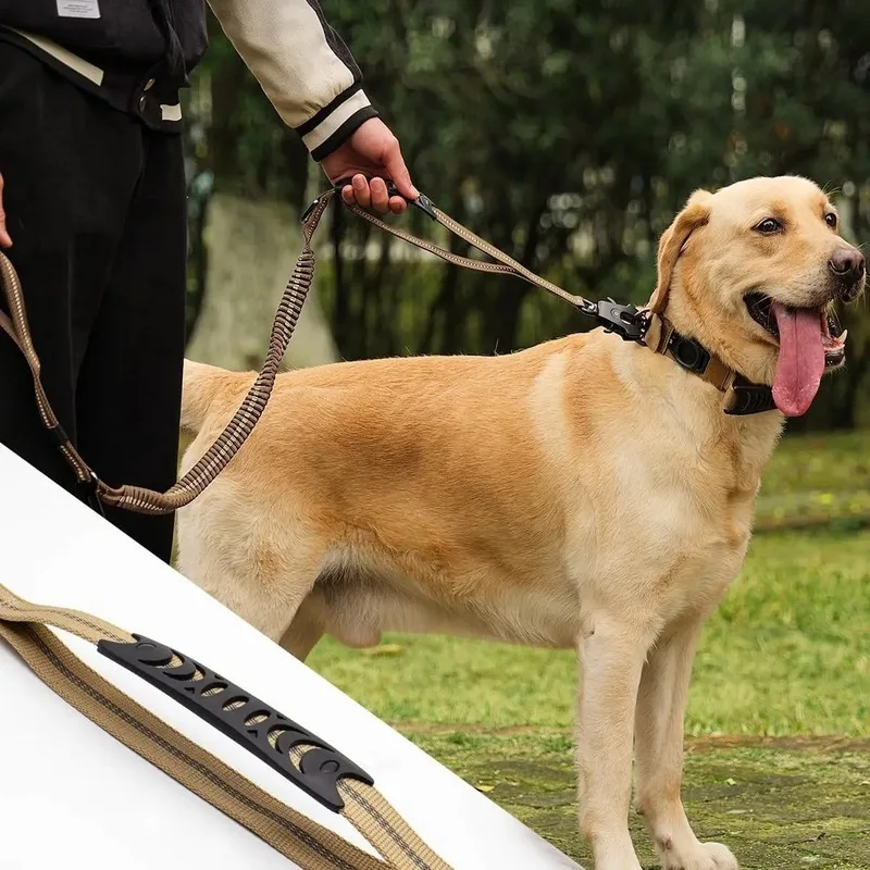 How to Choose a Heavy Duty Dog Leash for Your Dog