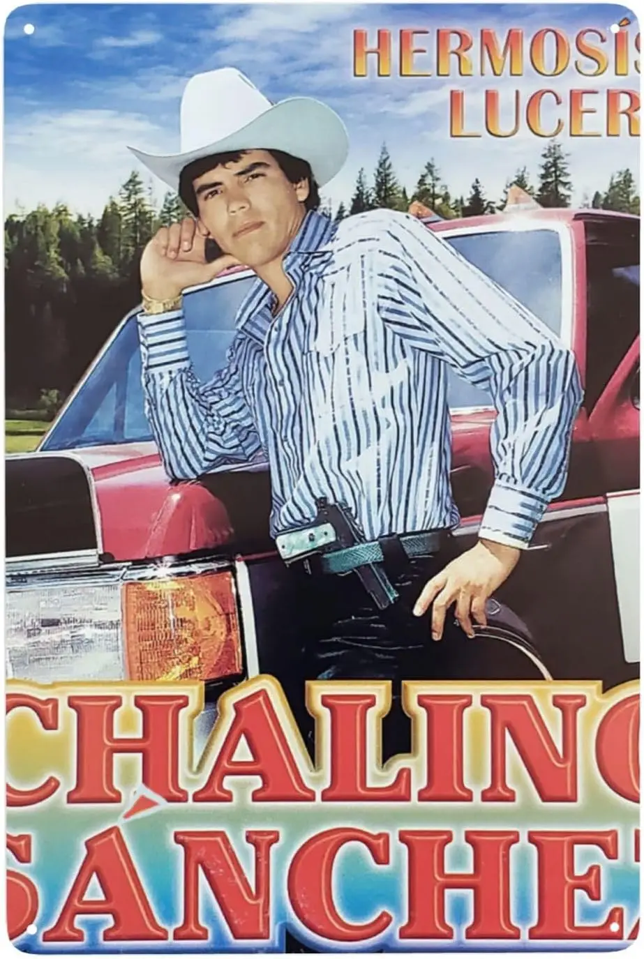 ديكور مغني على طراز تشالينو العتيق سانلوس ، ديكور كهف الرجل ، لافتة معدنية ، خمر ، علامة قصدير للمنزل ، حديقة ، غرفة ، كراج ، ديك