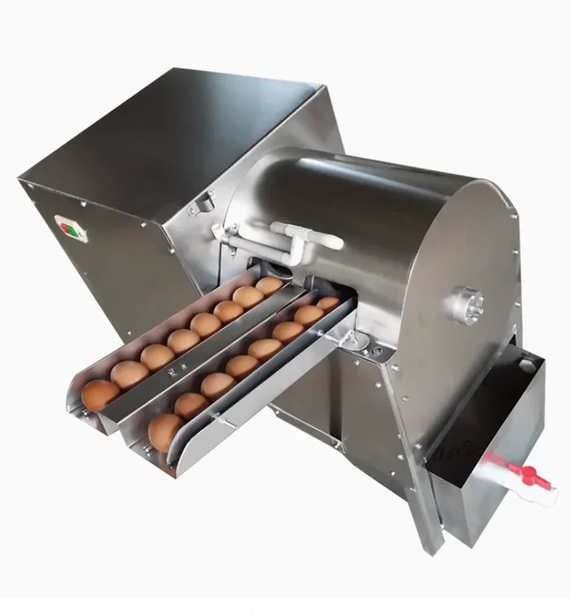 Professional Small Poultry Egg Washing Cleaning Machine Egg Washer Double Row Egg Washing Machine