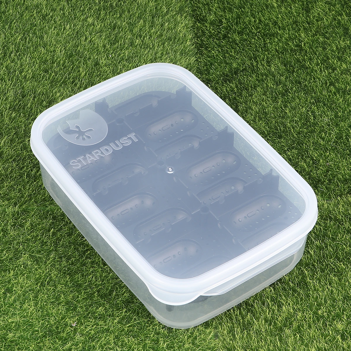 

Incubation Box Reptile Egg Incubator for Lizard Eggs Gecko Reptiles Tray Container Home