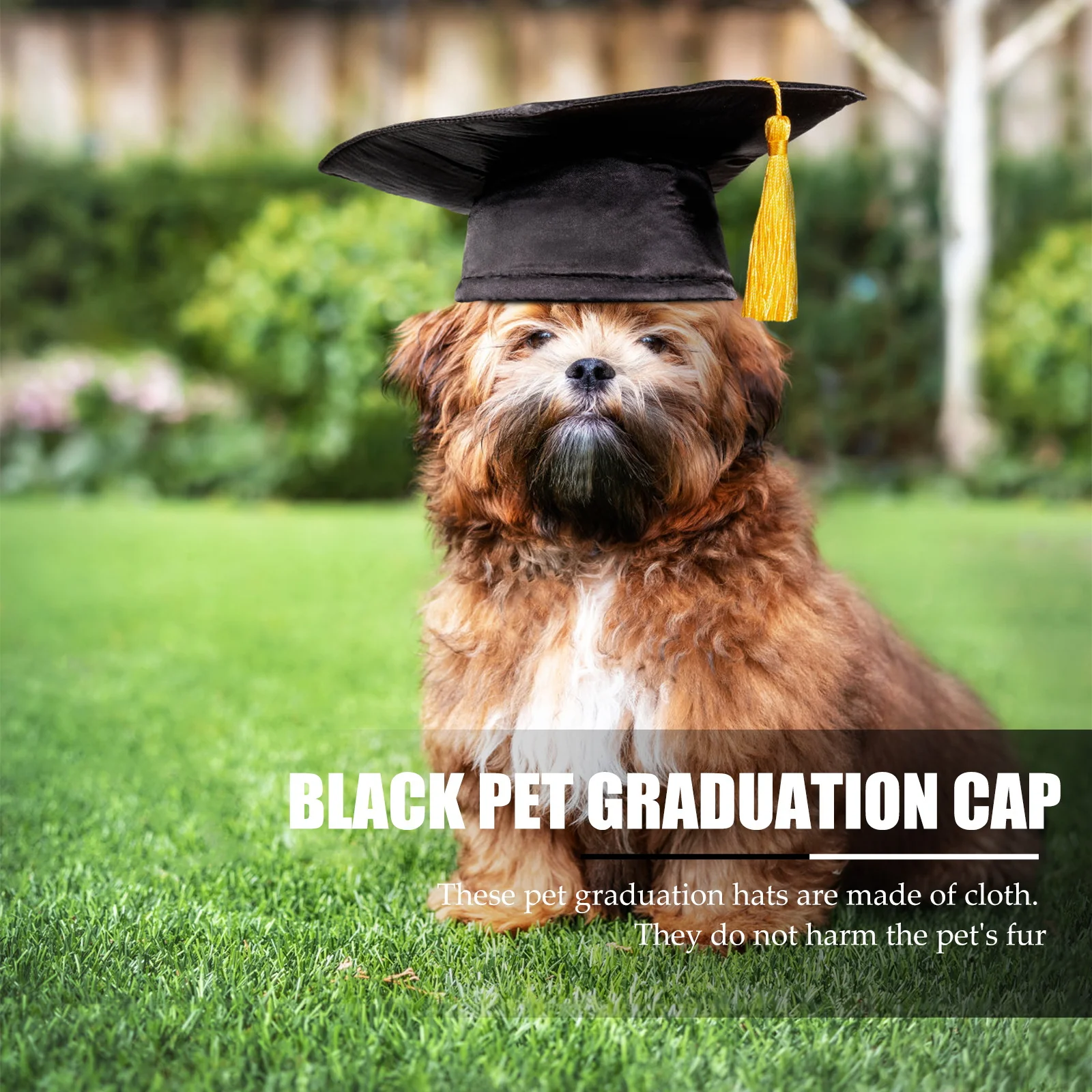 

Black Pet Graduation Cap For Dogs One Size Fits Small Medium Large Yellow Tassel Diy Party Decoration Dog Hat Supplies