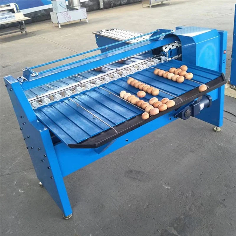 Desktop Egg Sorting Machine Compact Egg Weight Classifier Suitable for Small Egg Retail Factory