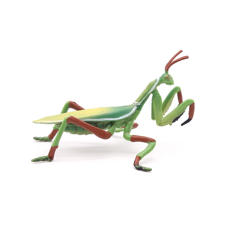 Solid simulation praying mantis model prayer bug insect ornaments home decoration