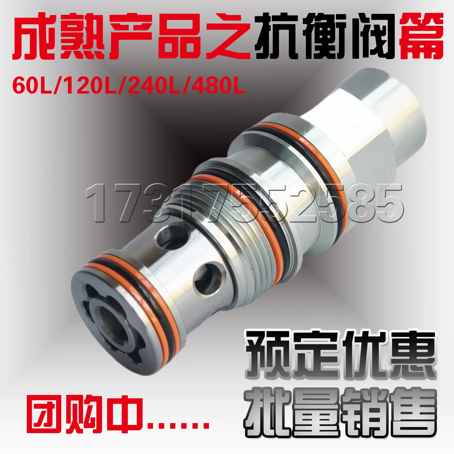 Cartridge Valve SUN Series Counterbalance Valve CBGG-LJN 240L Balance Valve Thread M36 Test Stability