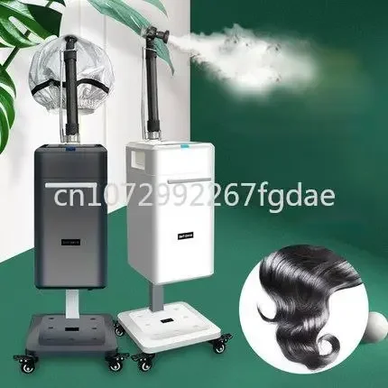 Professional Hat Ion Mist Microist Hair Salon Steam Machine and Care Hari SPA Care Treatment