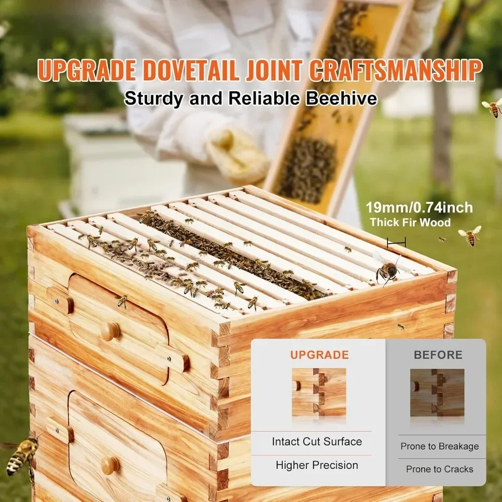 10 إطارات خلية النحل، خشب التنوب المطلي بشمع العسل، 2 علبة نحل متوسطة + 2 صندوق خلية نحل Langstroth للمبتدئين المحترفين #3