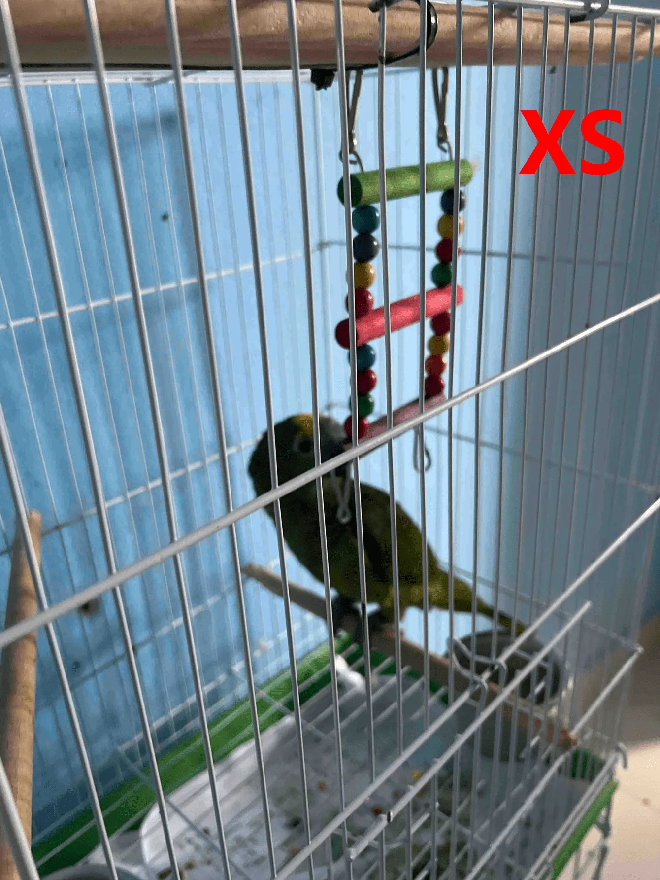Bunte Vogelleiter und Schaukel aus Holz – perfektes Lebensraum für kleine Papageien – Detail 3