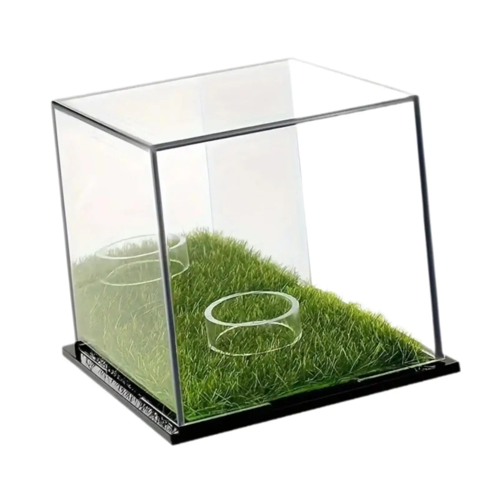 Protective Golf Ball Display Case Acrylic Clear Dustproof Baseball Holder for Organized Storage and Memorabilia Display