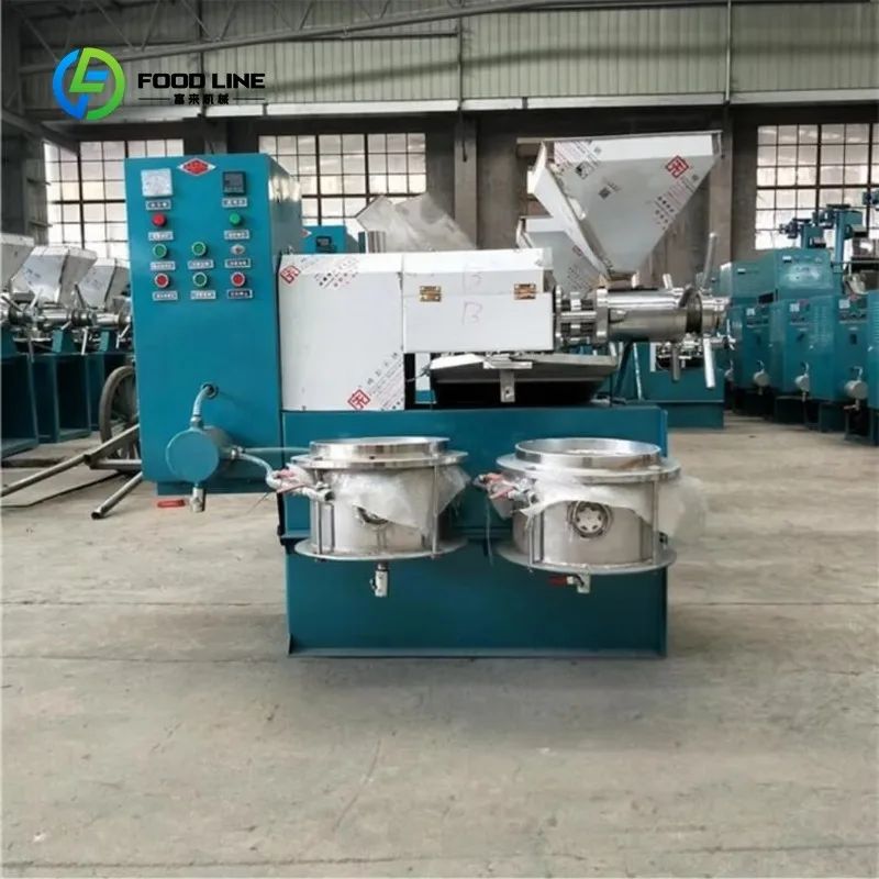 Customized High-Efficiency Automatic Spiral Oil Press Machine New Condition High Oil Extraction for Rapeseed Oil