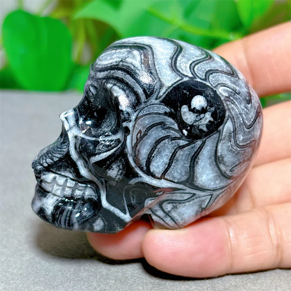 Shellstone Crow Skull Crystal Natural Stone Quartz Stone Minerals Home Decoration Reiki Craft Energy Healing Meditation Luck