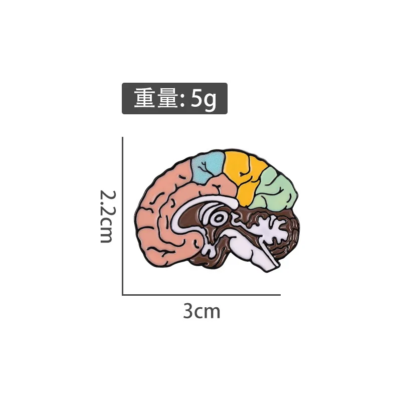 Creative Colored Organs Brain Enamel Pins Thinking Brain Funny Alloy brooch Badge Personality Jewelry Gift For Friends