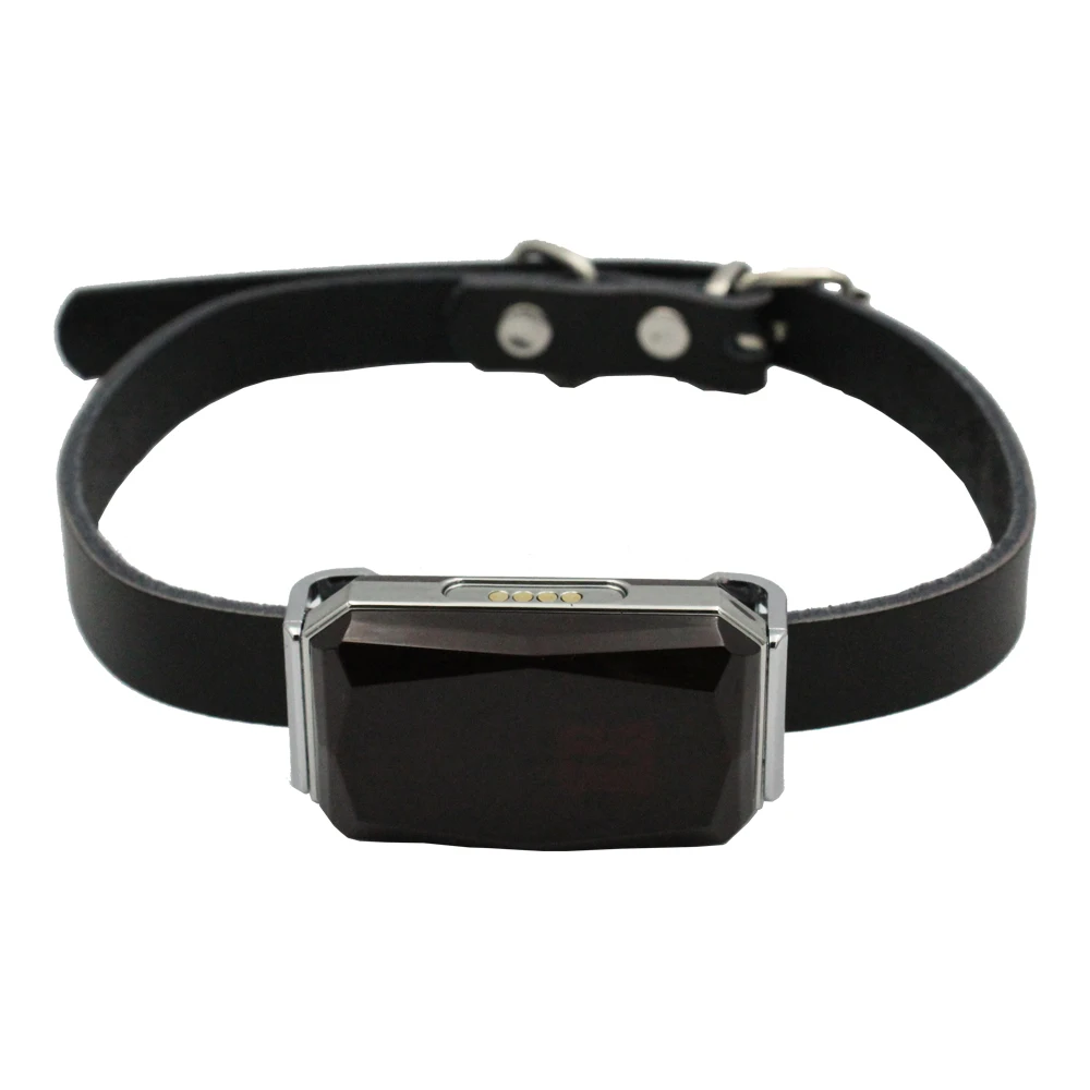 Wholesales 2G Mini Magnetic Gps Tracker For Dogs With Free AIKA App Real Time Tracking Locator G15P