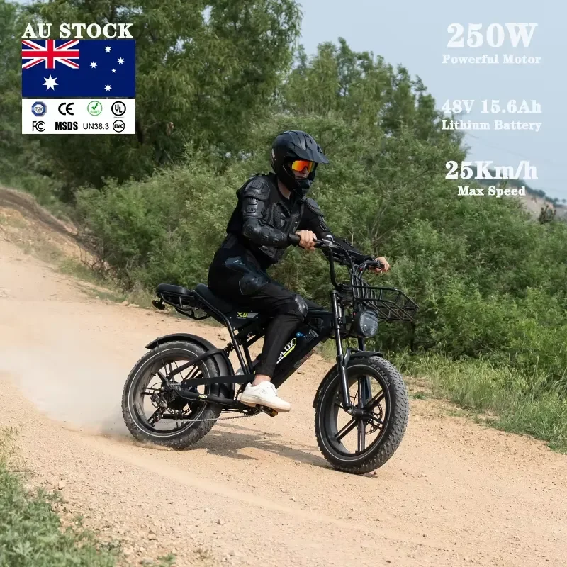 STROVAN AU Stock X9 250W 48V 15.6Ah 150km Range Front Basket EN15194 Certified Family Transport Fatboy