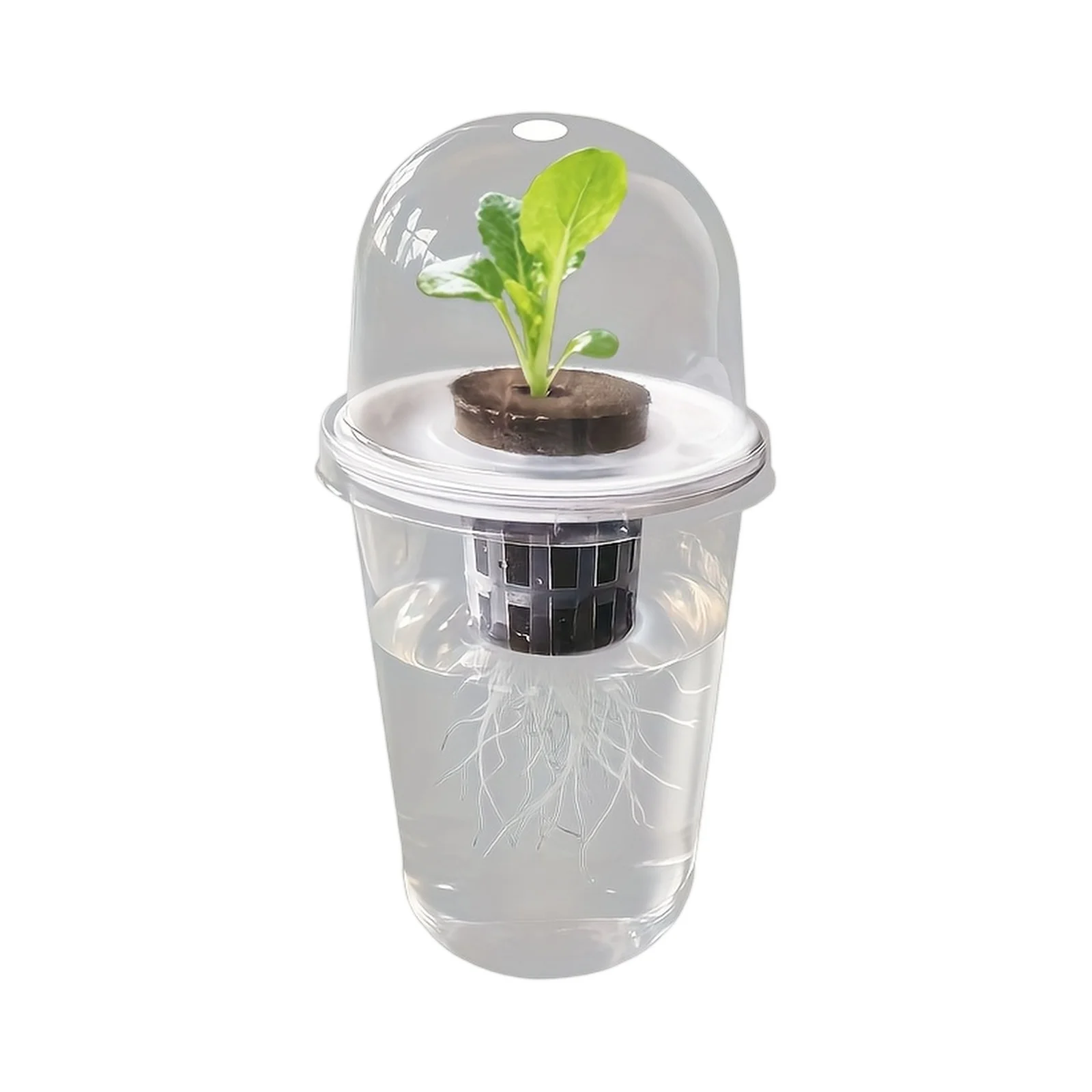 1pc Visible Clear Plants Germination Cup Hydroponic Seed Planter Pots Reusable Durable Seed Starter Tray Plastic View Cups