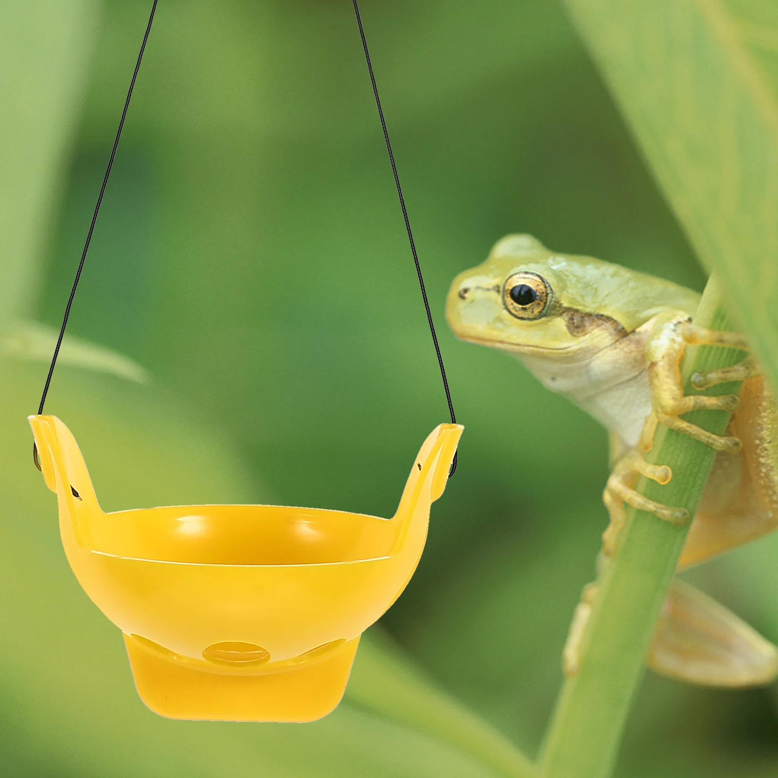 

Aquatic Frog Terrarium Rest Platform Green Small Reptile Rest Place Amphibians Habitat Terrarium Platform Pet Accessories