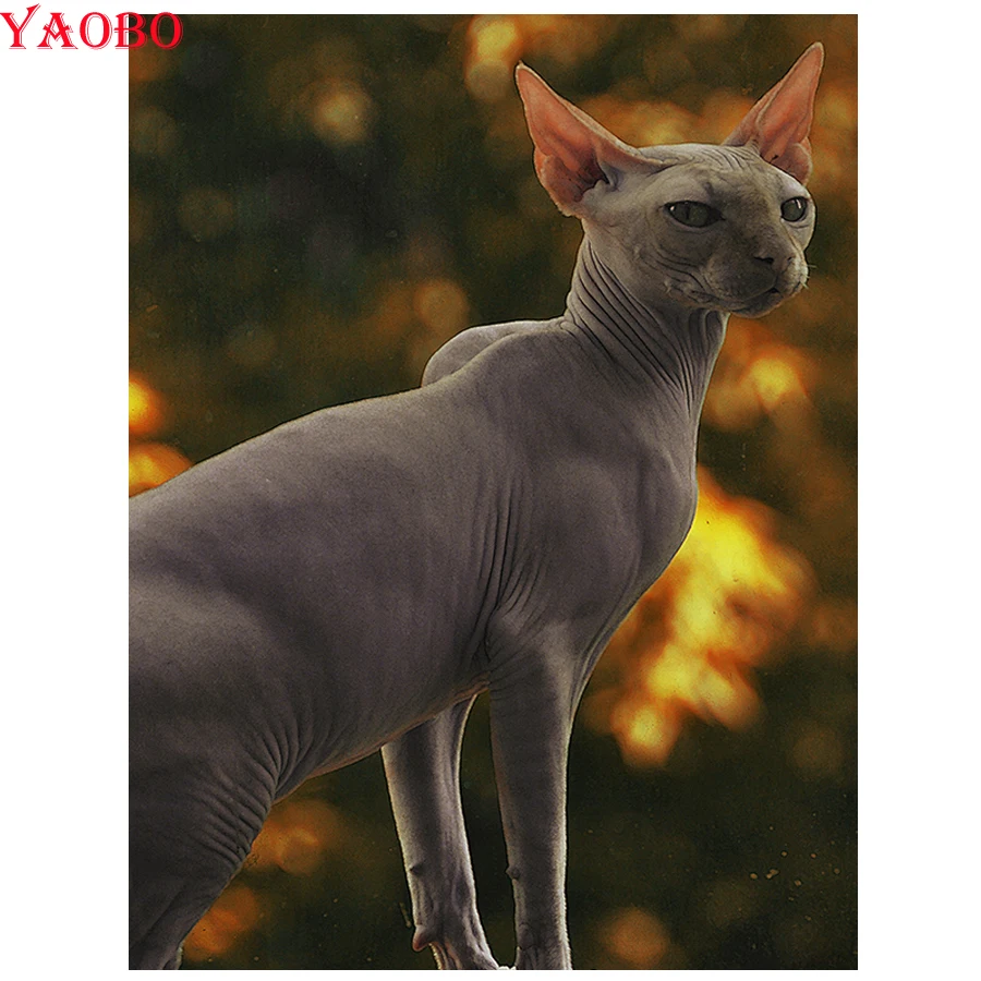 Full Square round Diamond Embroidery sphynx cats Diy 5D Diamond Painting Cross Stitch Kits Animal Arts And Crafts hobby