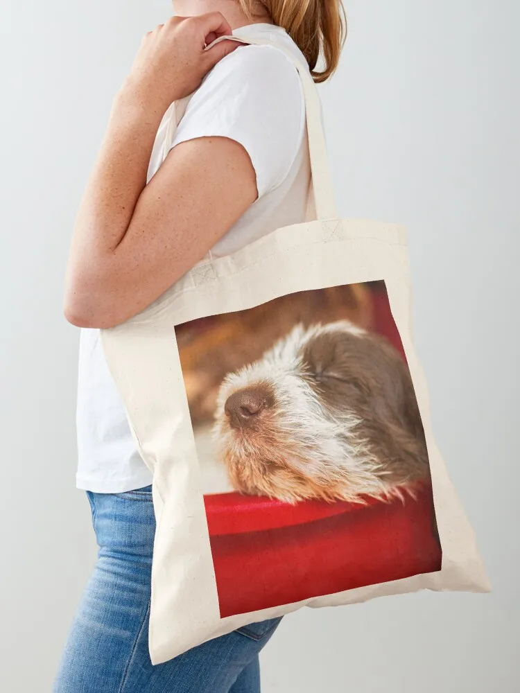 

Snoozy Spinone puppy Tote Bag Canvas stote bag hand bag Women's beach bags Canvas