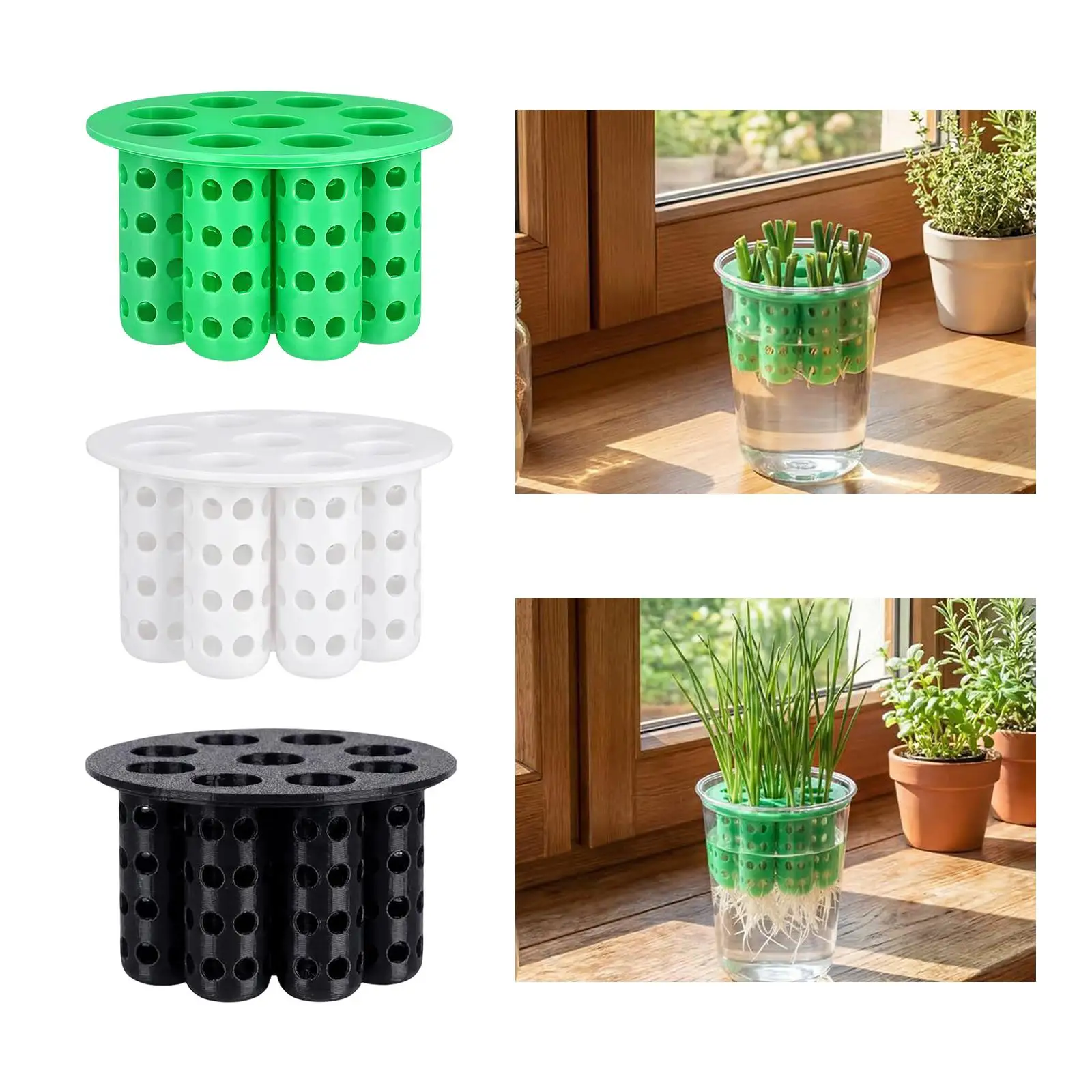 Green Onion Planter Seven Hole Scallion Grower Easy Hydroponic Insert Propagation Kit for Indoor Vegetable Gardening