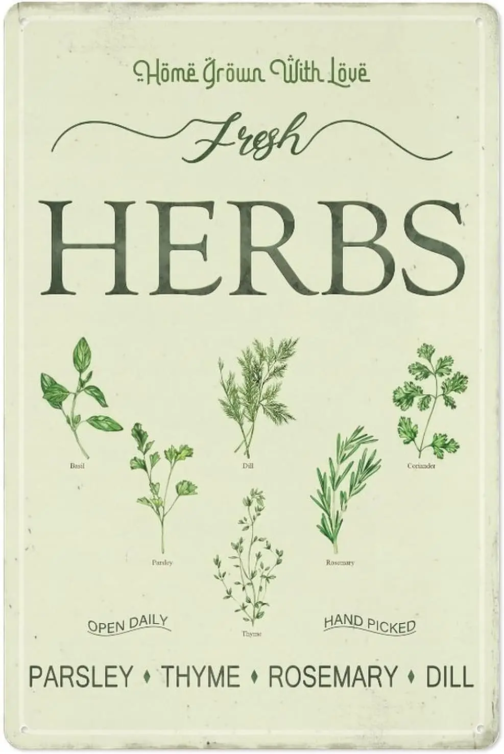 Garden Decor Fresh Herbs Parsley Thyme Rosemary Dill Home Grown With Love Iron Poster Painting Tin Sign Vintage Wall Decor for H