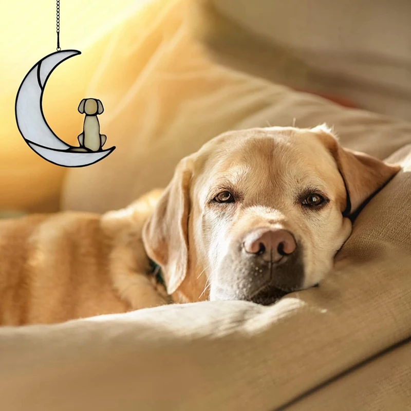 هدية معاطف للكلاب، كلب من الزجاج الملون على القمر لهدايا صائد الشمس، هدايا تذكارية للكلاب الصفراء لهدايا فقدان الحيوانات الأليفة متينة