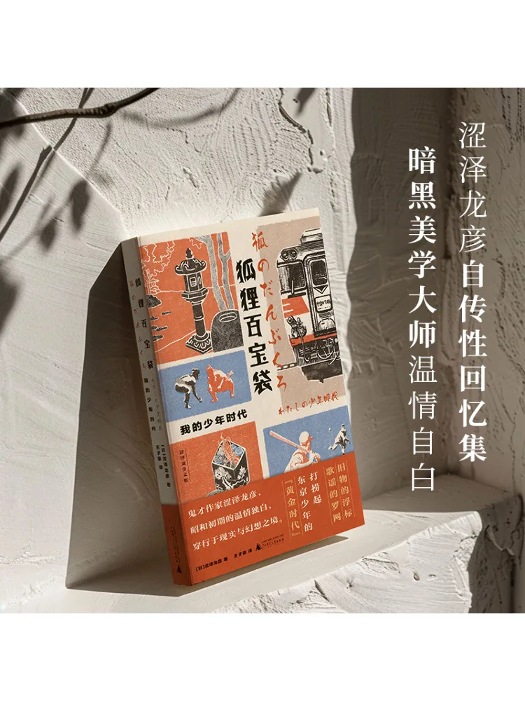 

Книга-Winshare Fox Treasure Bag Моя молодежная эпоха