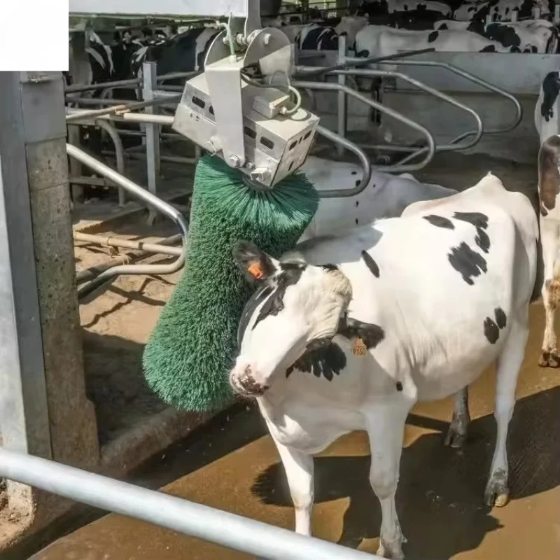 Dairy Farm's New Automatic Sensor Electric Cow Body Scraper Set