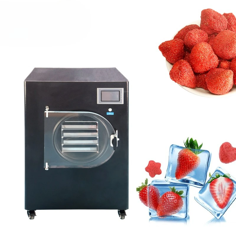 Energy Saving Best Offer Mini Lab Vacuum Freeze Dryer