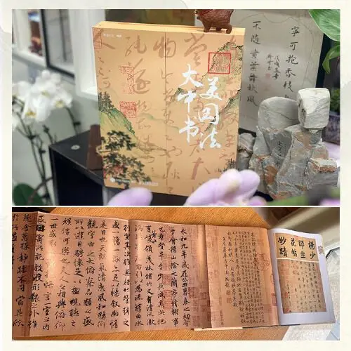 Damei Chinese Calligraphy, a National Treasure of China Calligraphy Encyclopedia Calligraphy * Inscription Appreciation and Inte