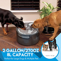 Large Capacity Pet Water Fountain for Dog, Automatic Pet Feeder with Splash Guard, Puppy Water Dispenser, Cat Fountain 5L, 8L