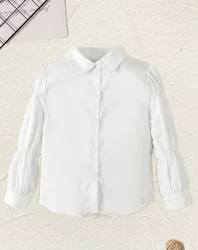 Korean version of the fashion foreign style design unique lantern sleeve shirt white lapel top all match girls summer