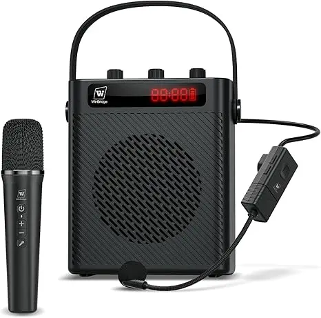 Winbridge S95 40W Wireless PA Speaker with Dual Microphones