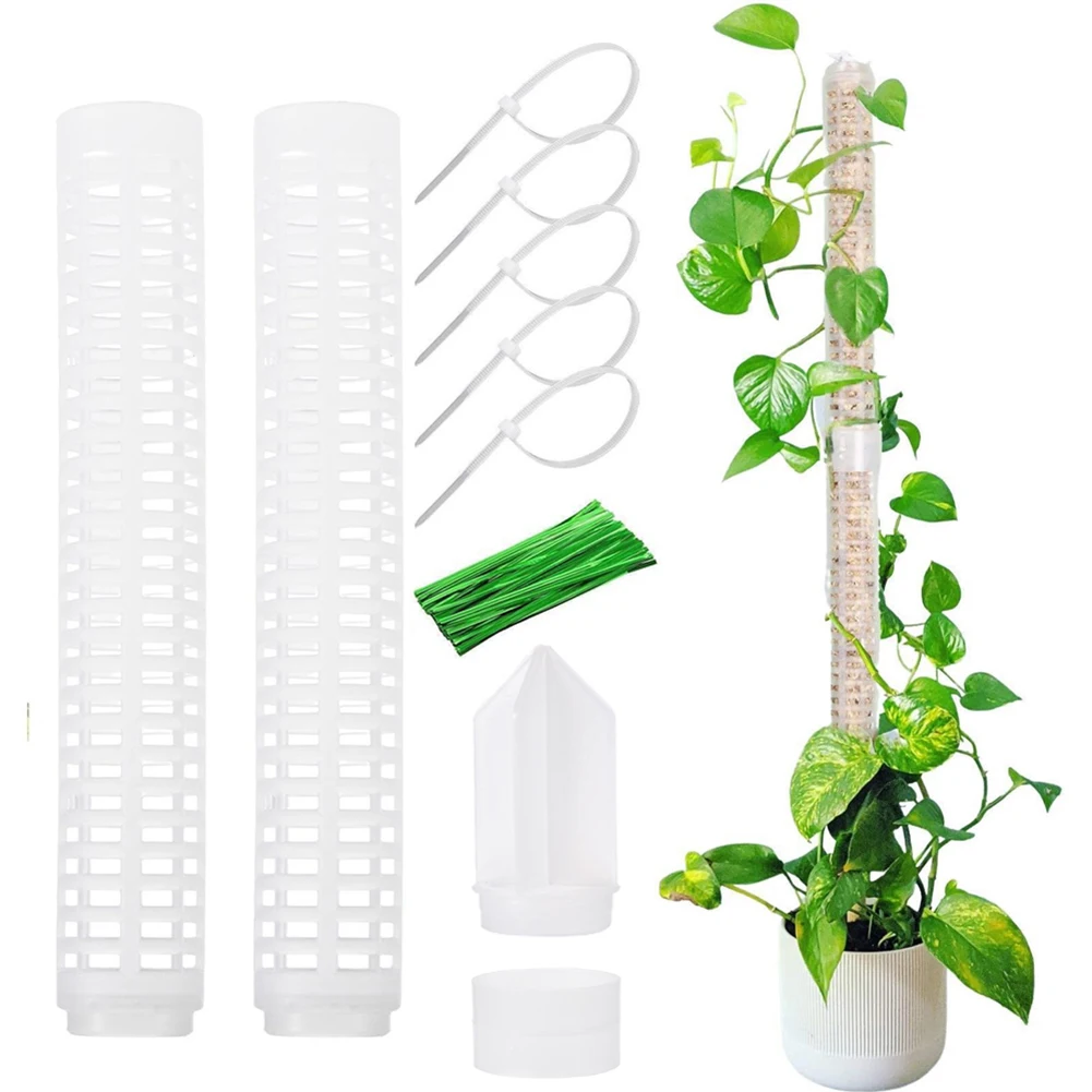 Indoor Plant Pole As Shown Climbing Plant Support Enhances Indoor Garden Hard Plastic Construction Indoor Gardening