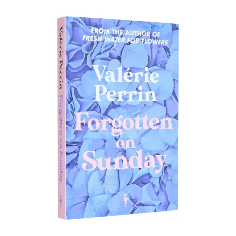 

Forgotten On Sunday Valerie Perrin Europa Editions 9781787705272 Book