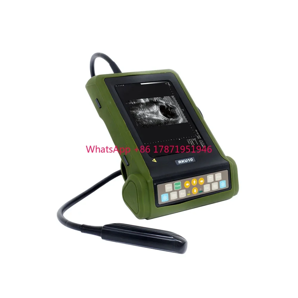 

Kaixin RKU10 Handheld Vet Palm Portable usg vet portable handheld pet veterinary ultrasound bovine for equine cattle cow