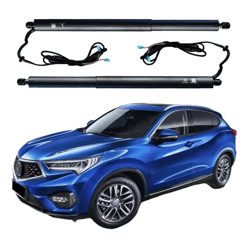 Apollo Auto Parts T…