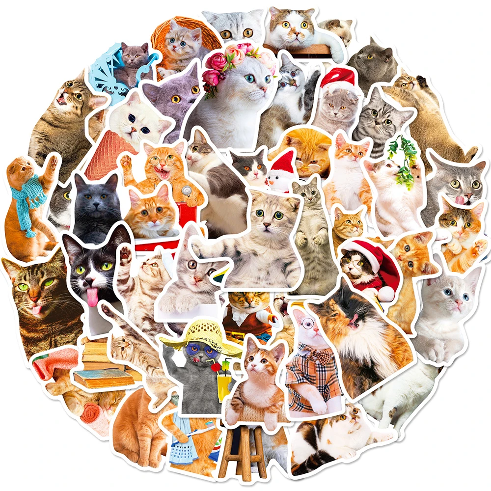 

10/30/50pcs Kawaii Cartoon Cat Meme Stickers Aesthetic Decals Fridge Laptop Suitcase Phone Guitar Decoration Sticker Kids Toys